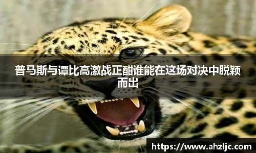 普马斯与谭比高激战正酣谁能在这场对决中脱颖而出